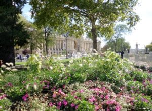 How to Fall in Love with Paris: 7 Must-Do One Day Itineraries 